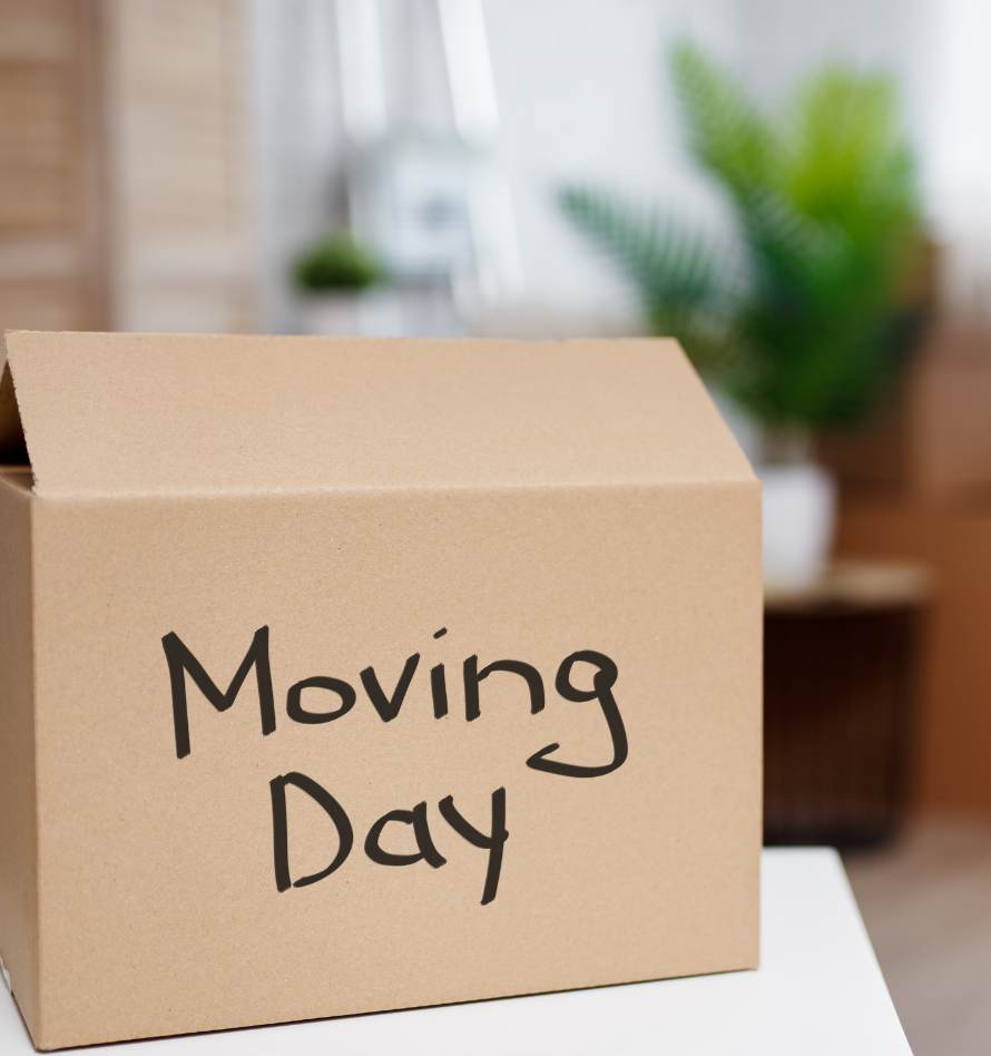 Move-in & Move-out cleanings